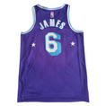 Load image into Gallery viewer, Lebron James #6 Vintage Los Angeles Lakers Stars Jersey
